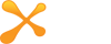 엑스피지